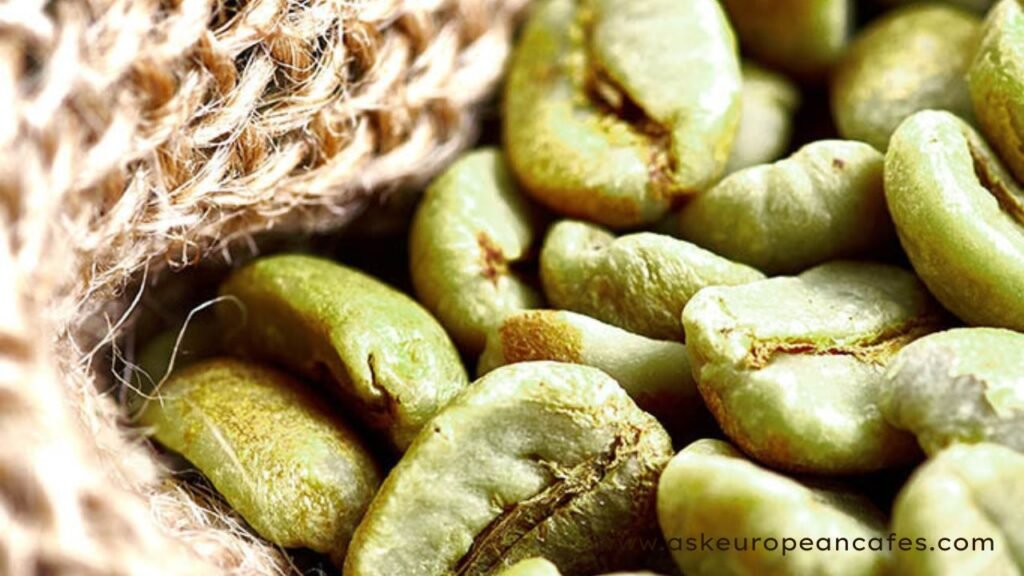Is the Coffee Bean Fresh?