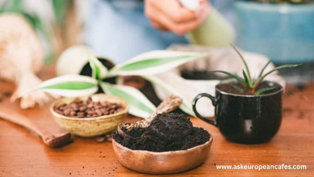How to Use Coffee Grounds As Fertilizer